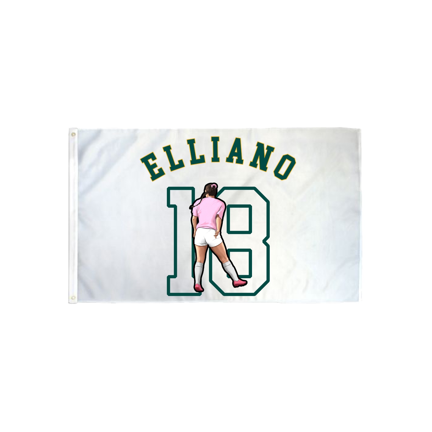 3x5 Flag — Shirsey Arch in Classic