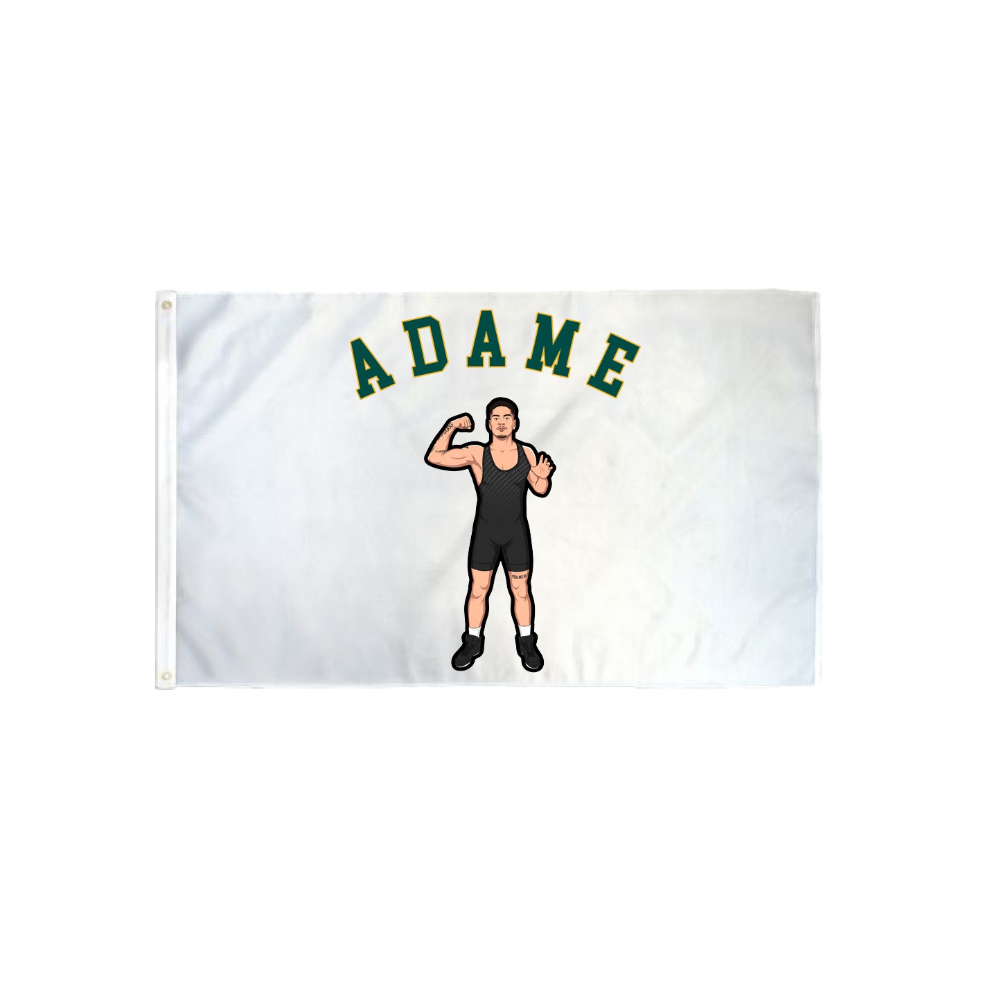 3x5 Flag — Shirsey Arch in Classic