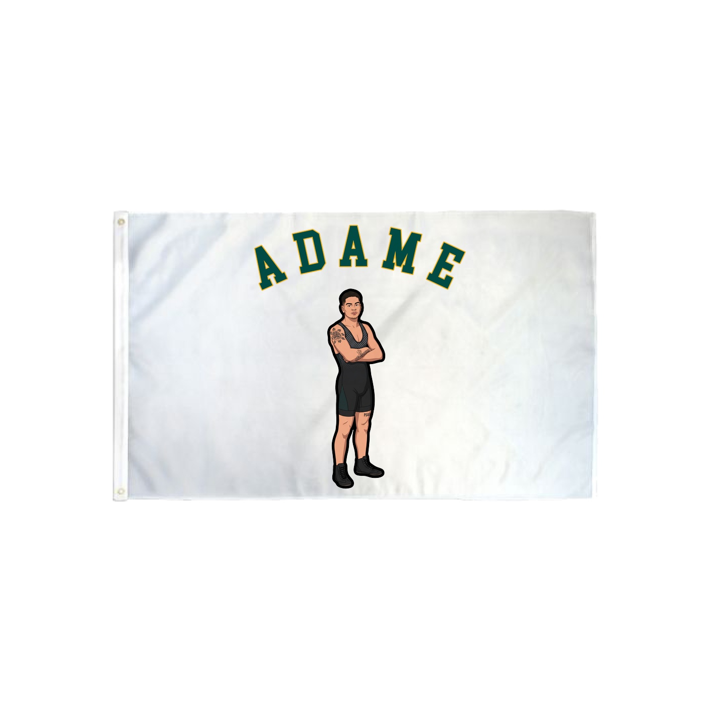 3x5 Flag — Shirsey Arch in Classic