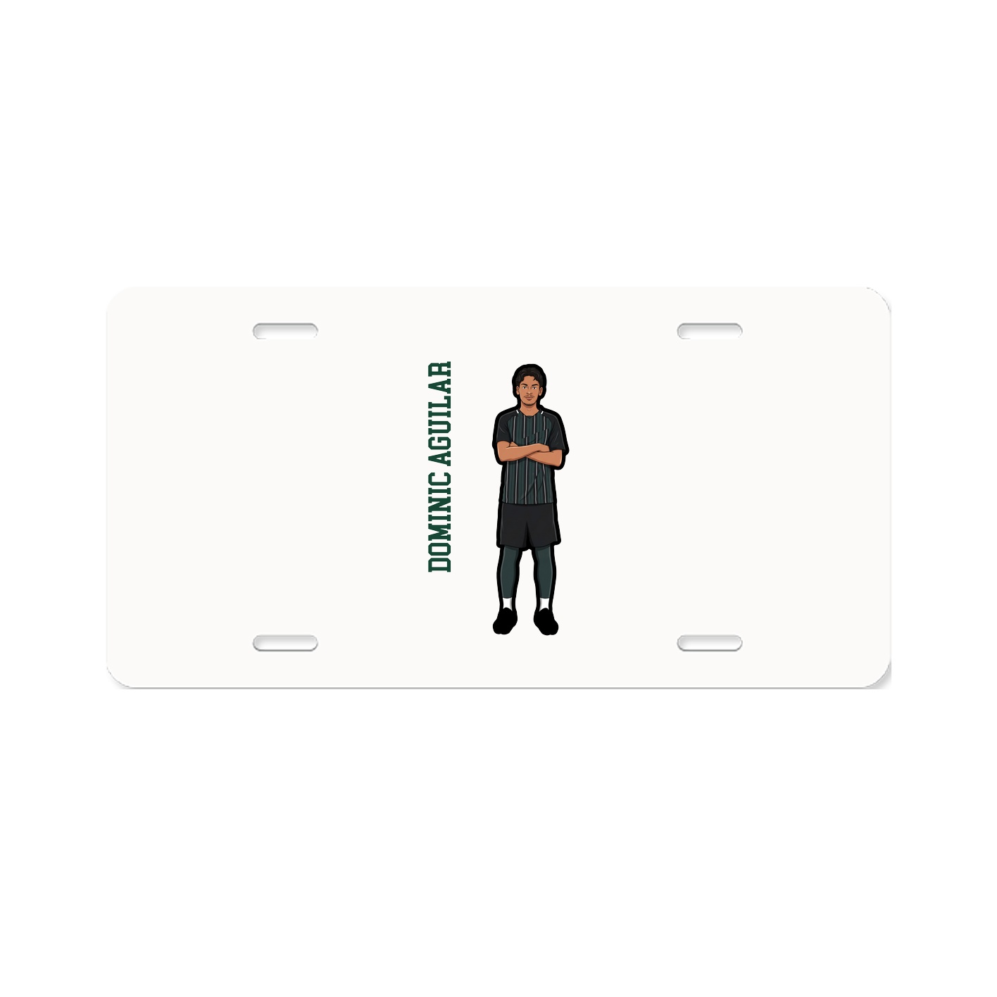 Aluminum License Plate