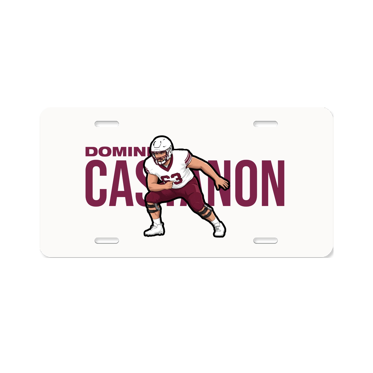 License Plate