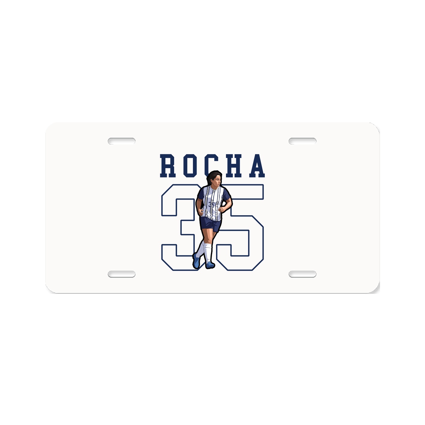 License Plate