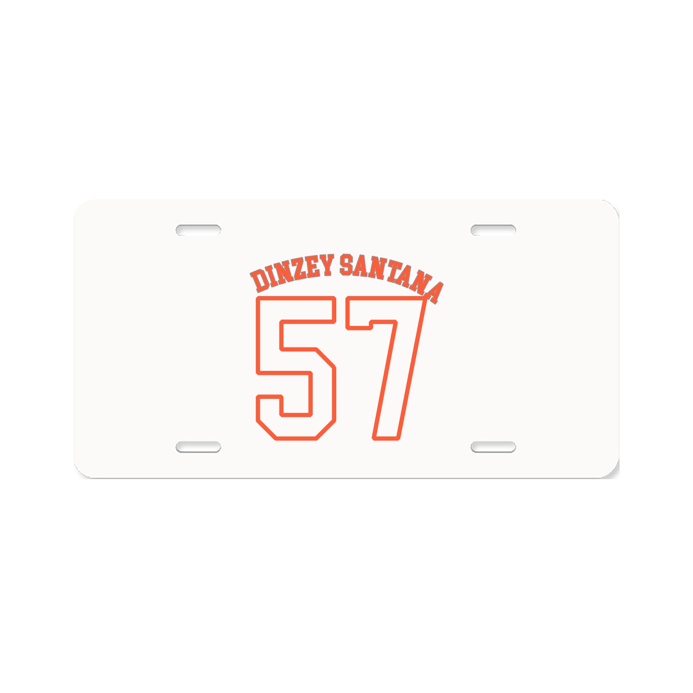 License Plate