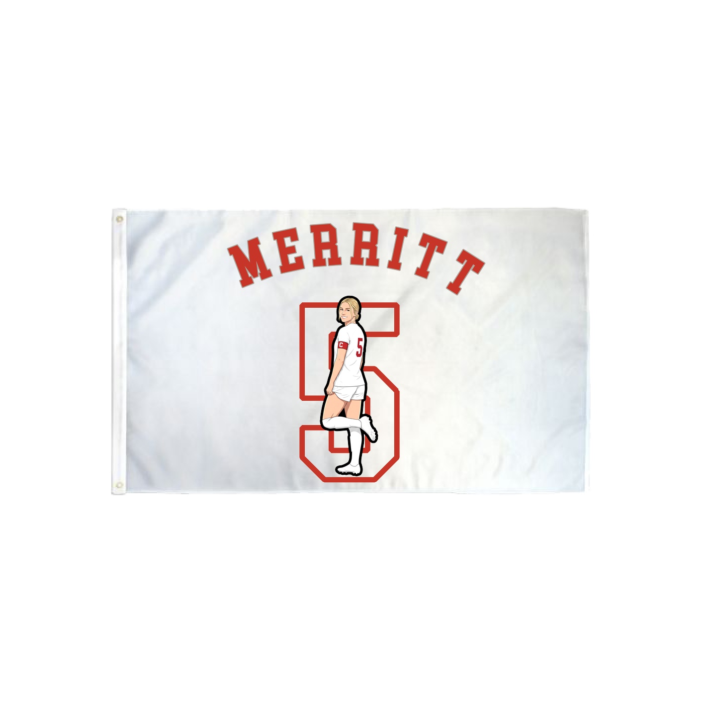 3x5 Flag — Shirsey Arch in Classic