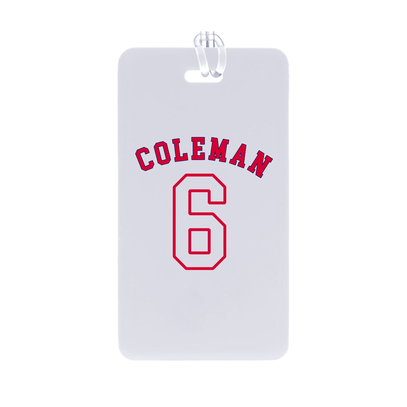Bag Tag — Shirsey Arch in Classic