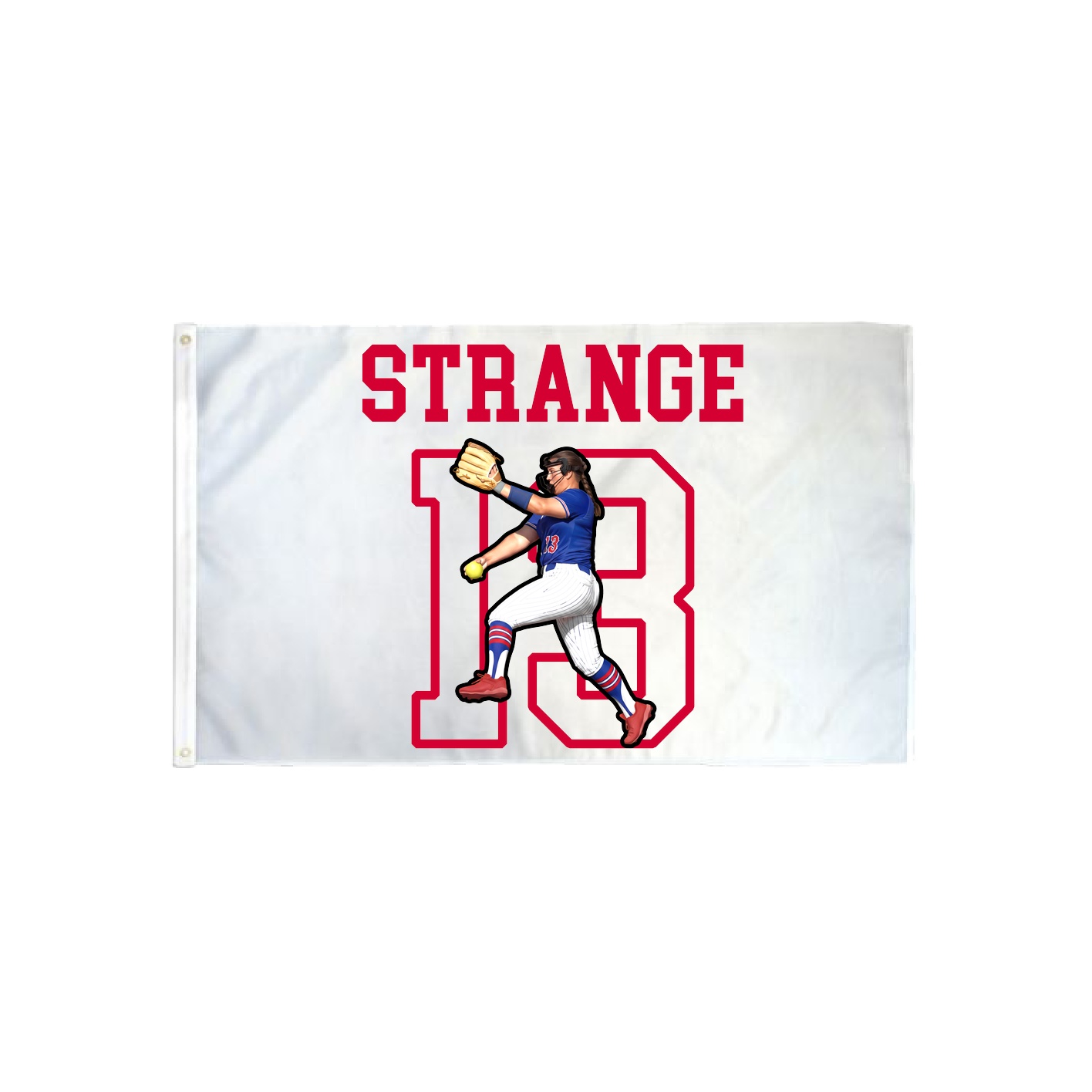 3x5 Flag — Shirsey in Classic