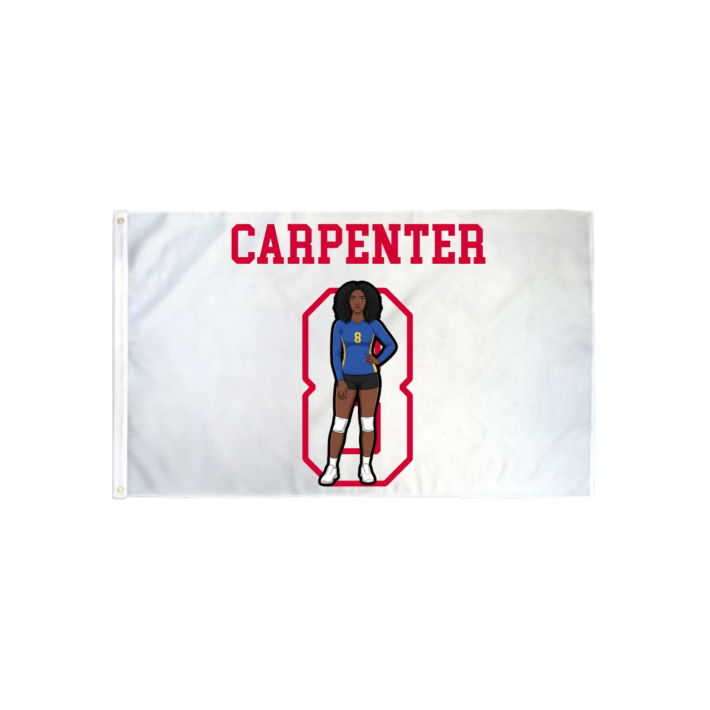3x5 Flag — Shirsey in Classic