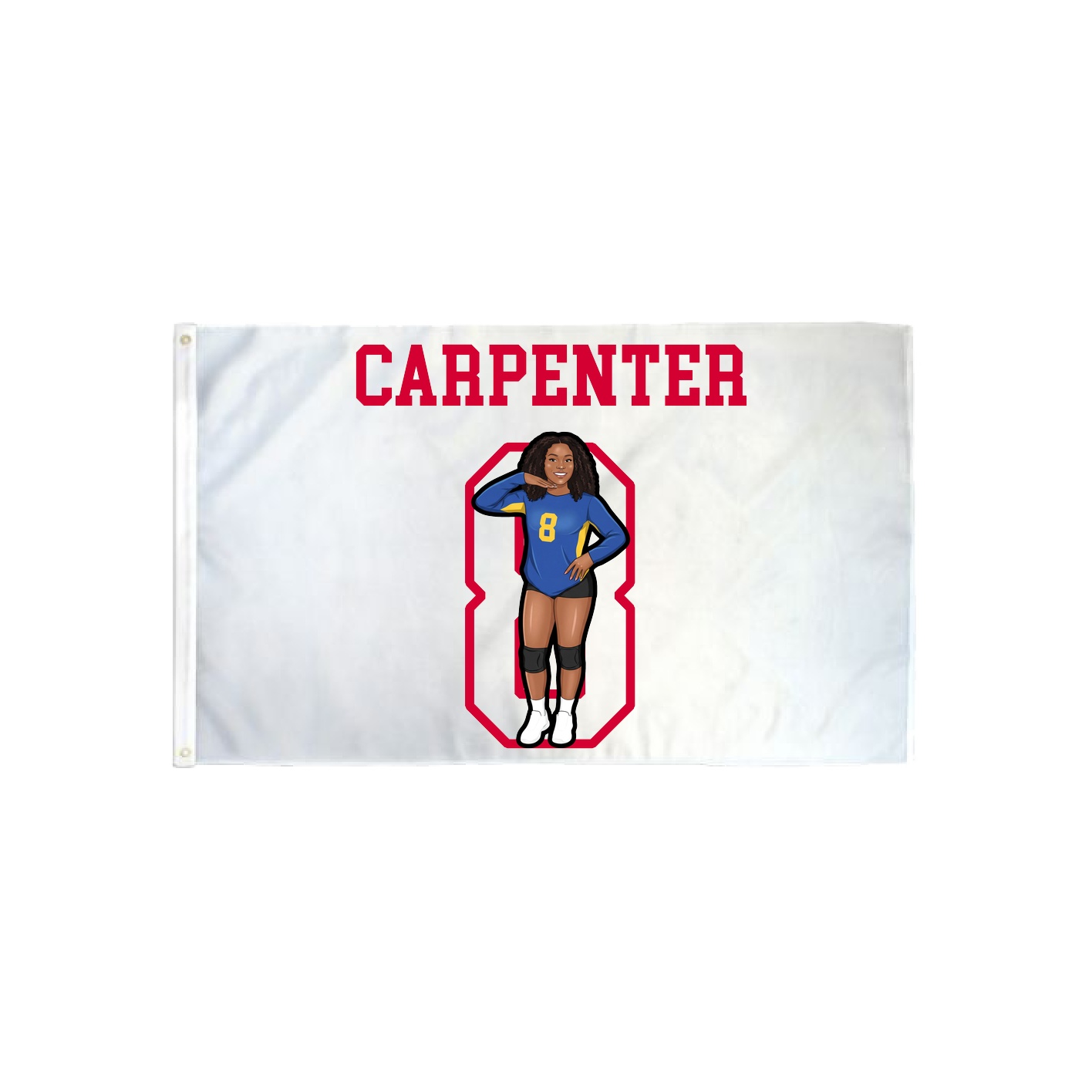 3x5 Flag — Shirsey in Classic