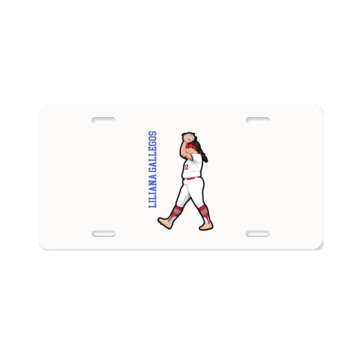 License Plate