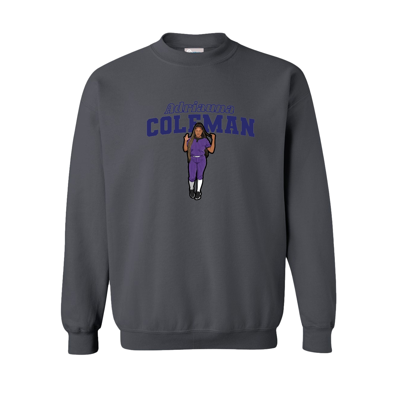 Fleece Crew — Name Arch in Grey