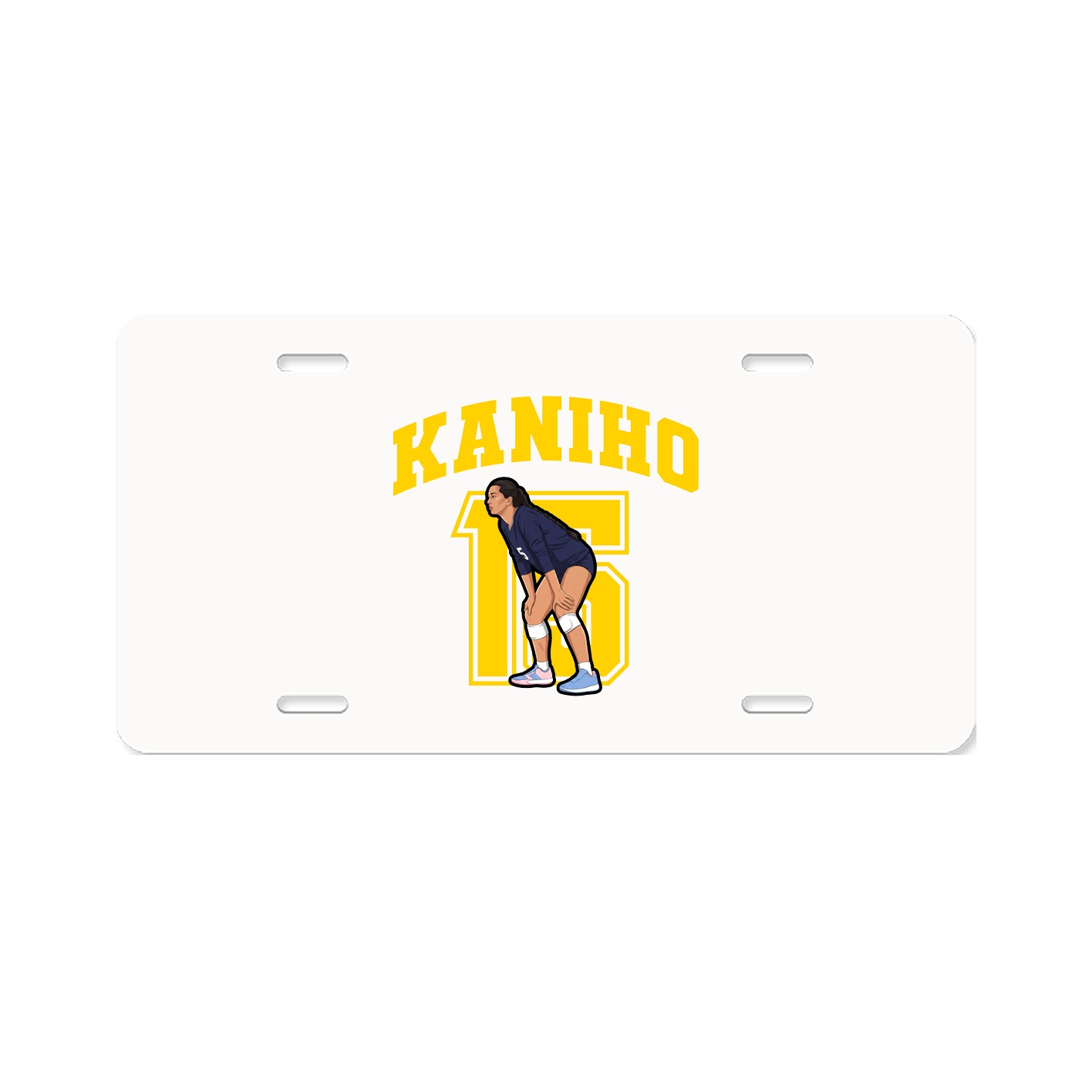 License Plate — Number in Classic