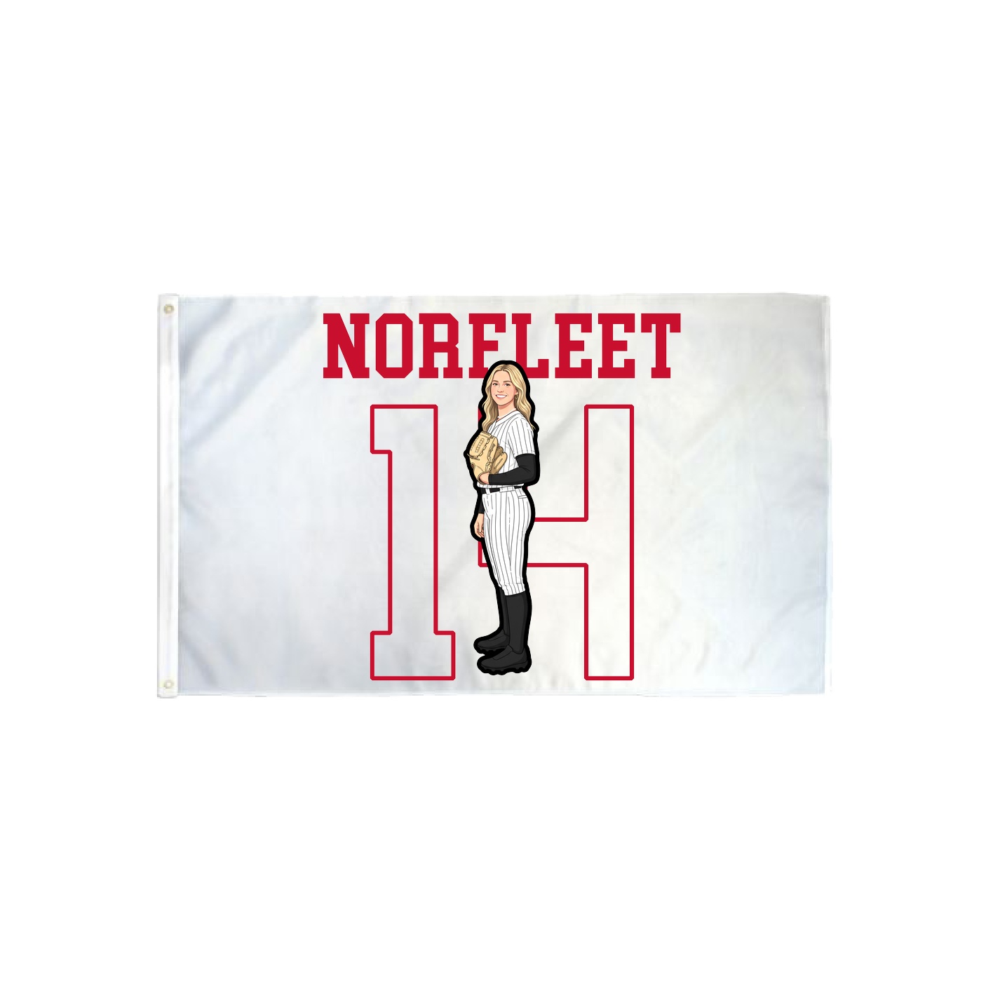 3x5 Flag — Shirsey in Classic