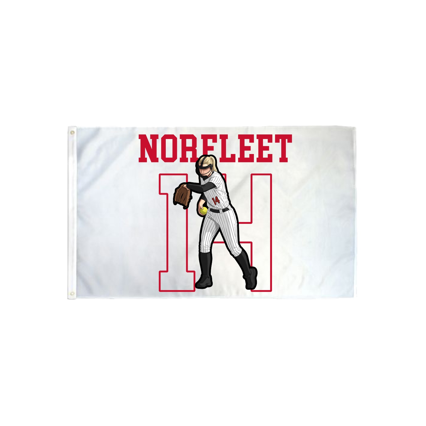 3x5 Flag — Shirsey in Classic