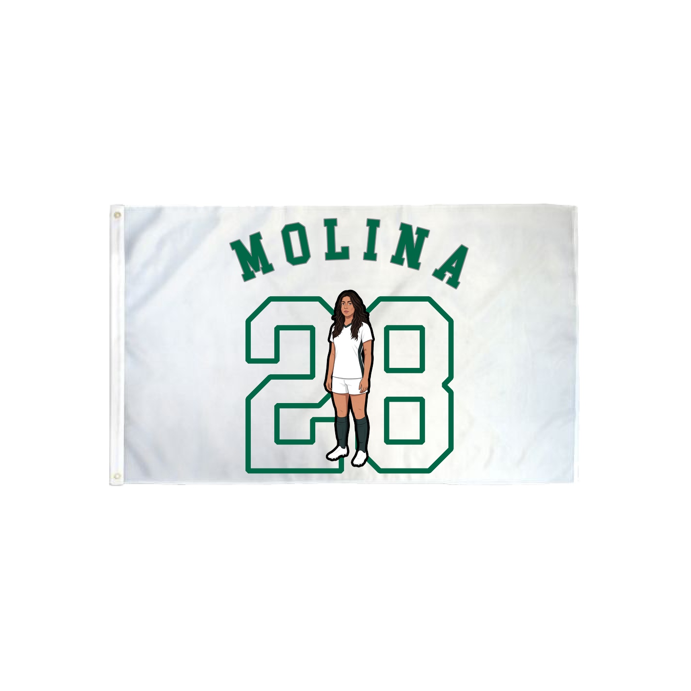 3x5 Flag — Shirsey Arch in Classic