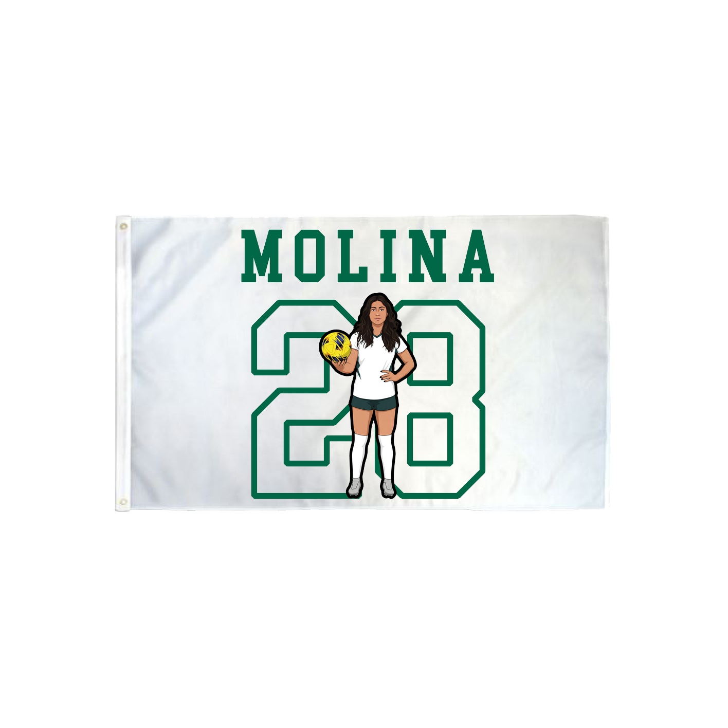 3x5 Flag — Shirsey in Classic