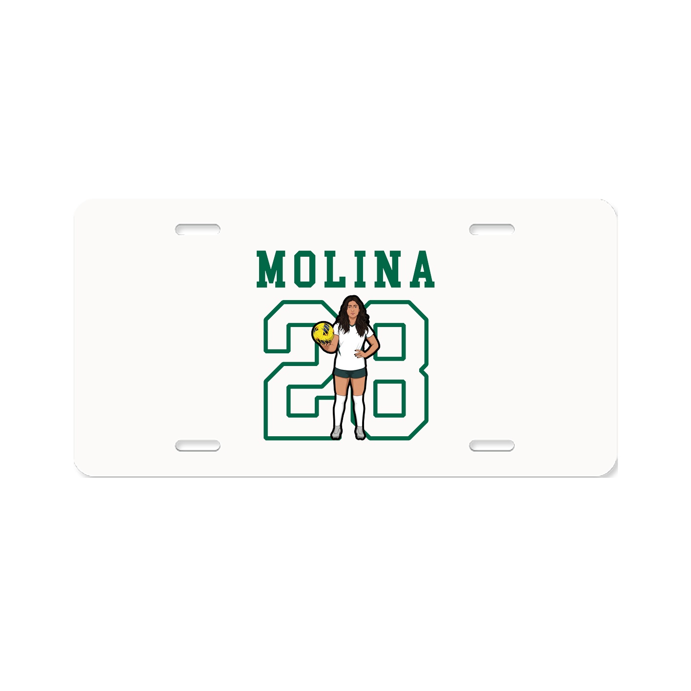 License Plate