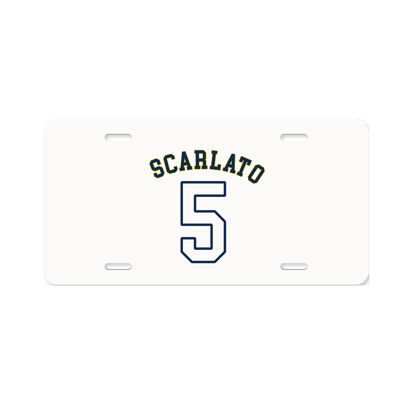 License Plate