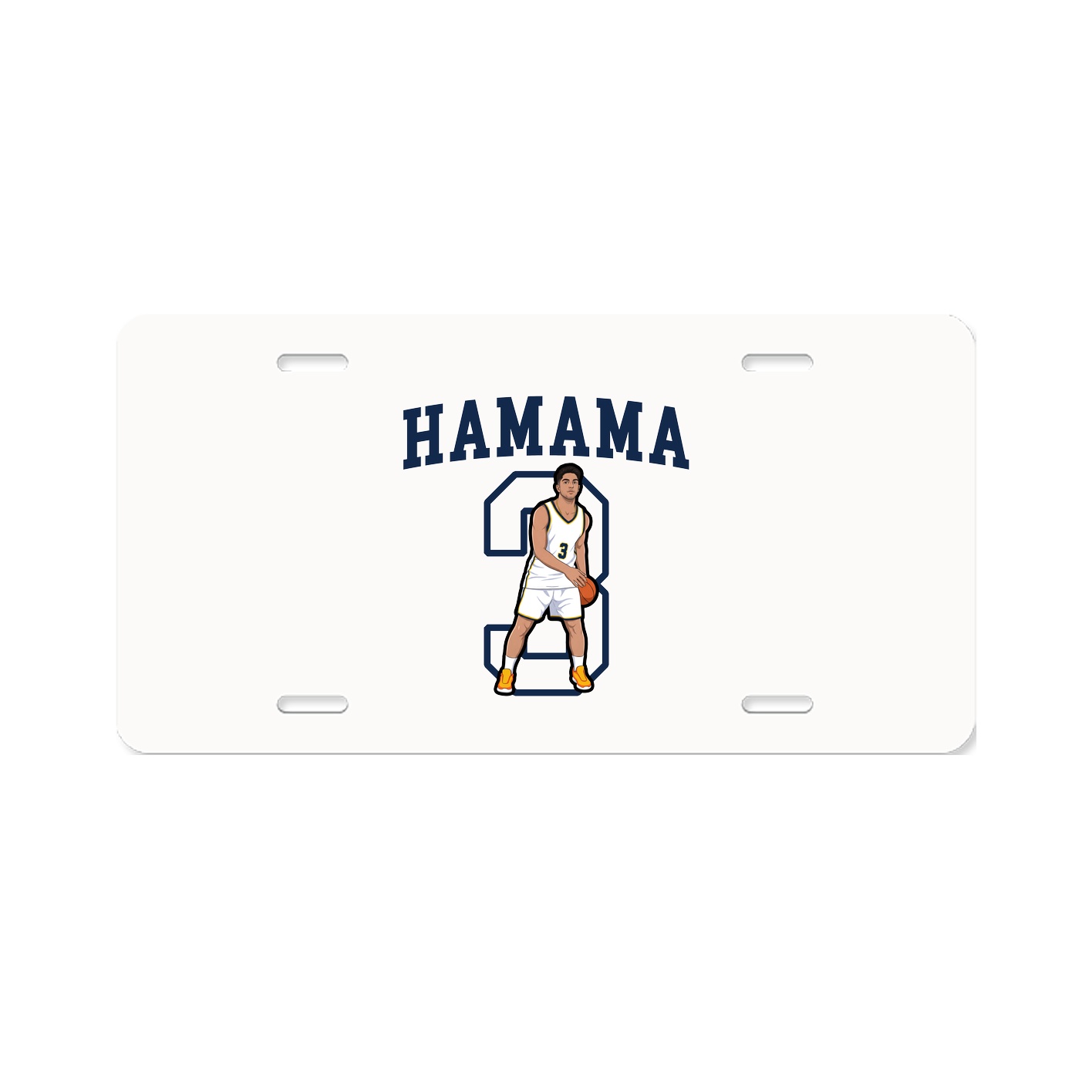 Aluminum License Plate