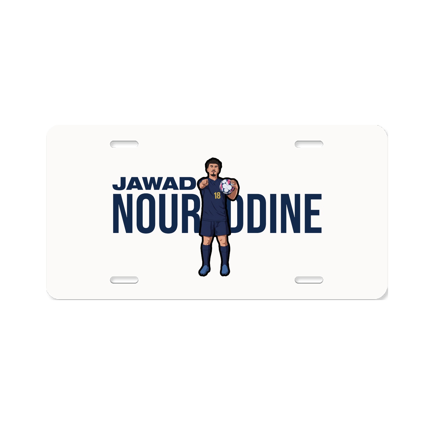 License Plate