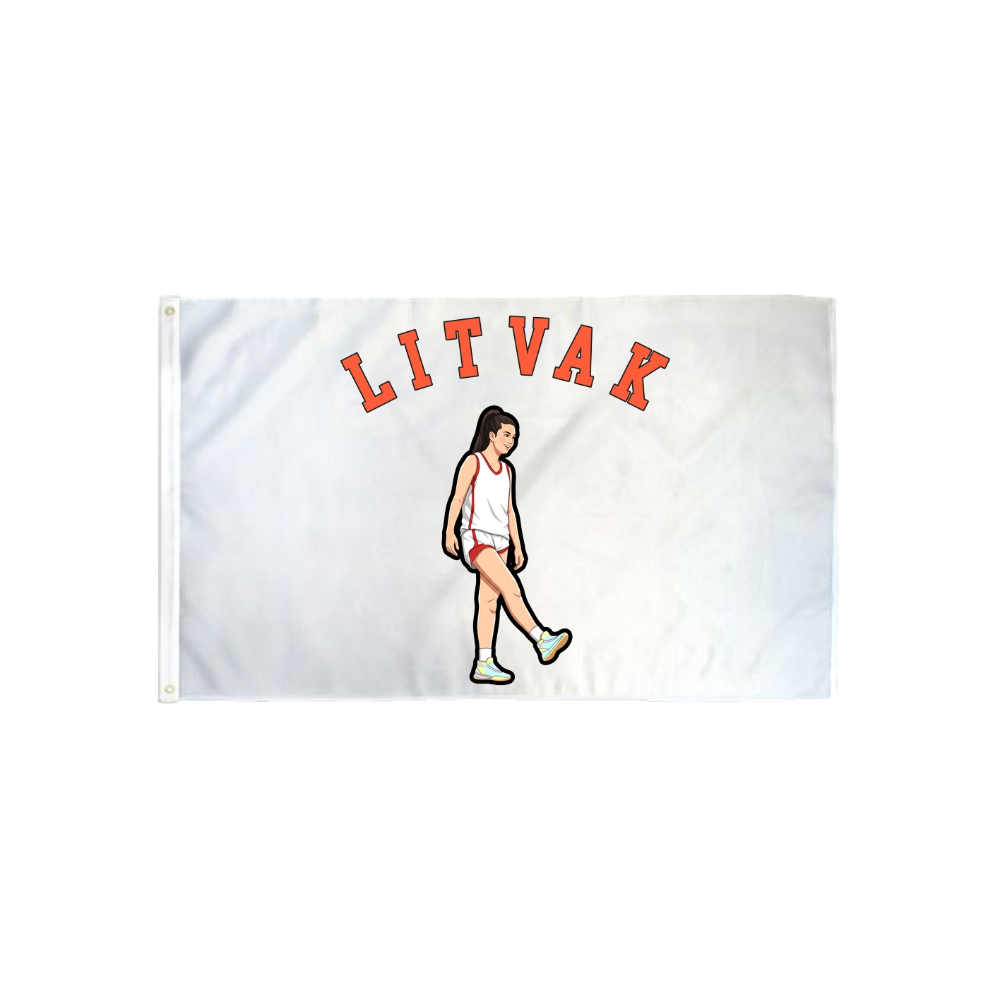 3x5 Flag — Shirsey Arch in Classic