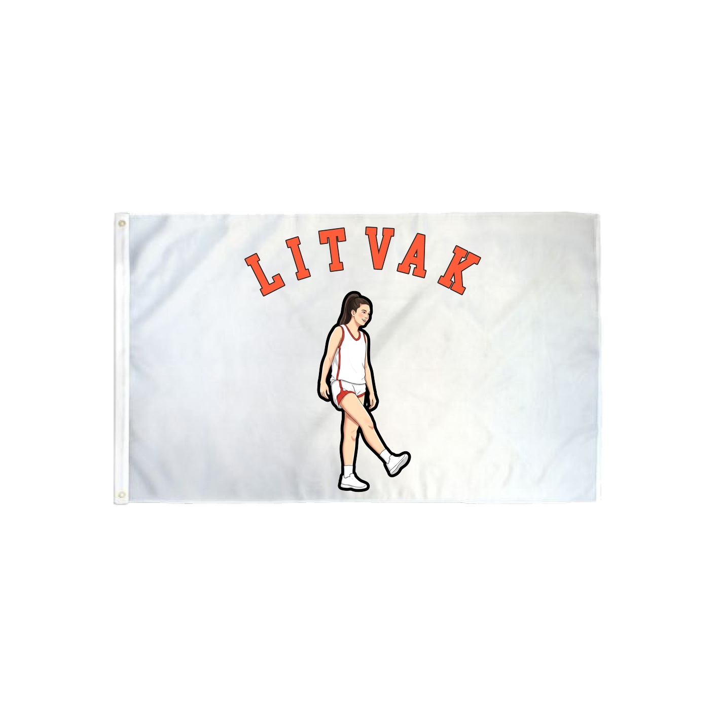 3x5 Flag — Shirsey Arch in Classic