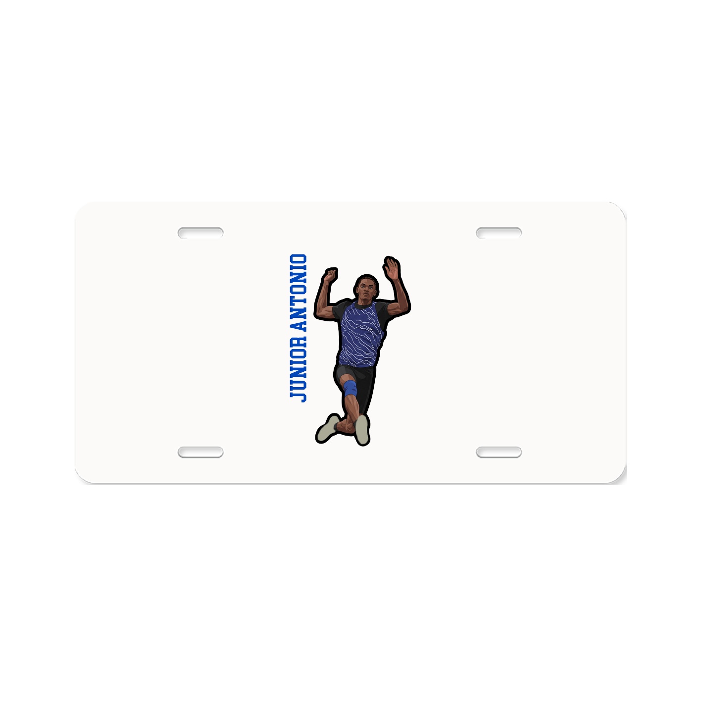 License Plate