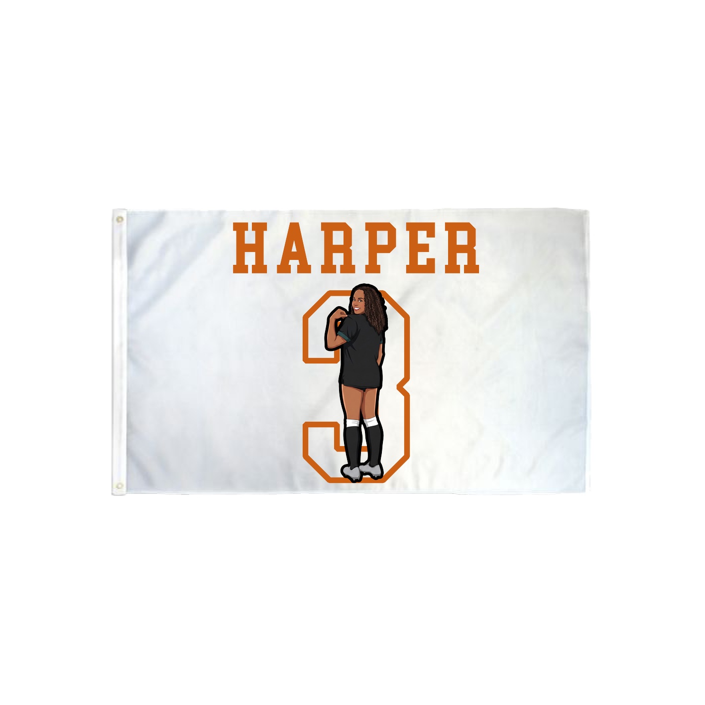 3x5 Flag — Shirsey in Classic