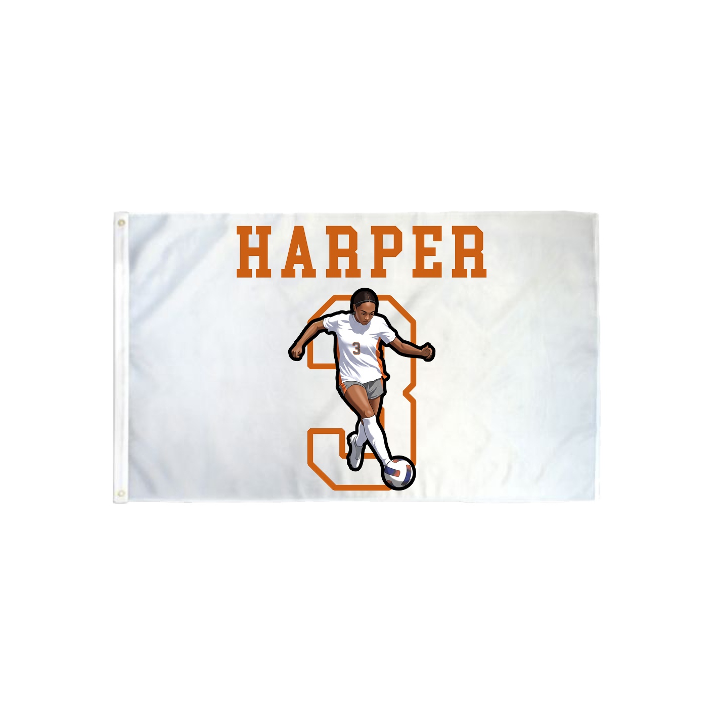 3x5 Flag — Shirsey in Classic