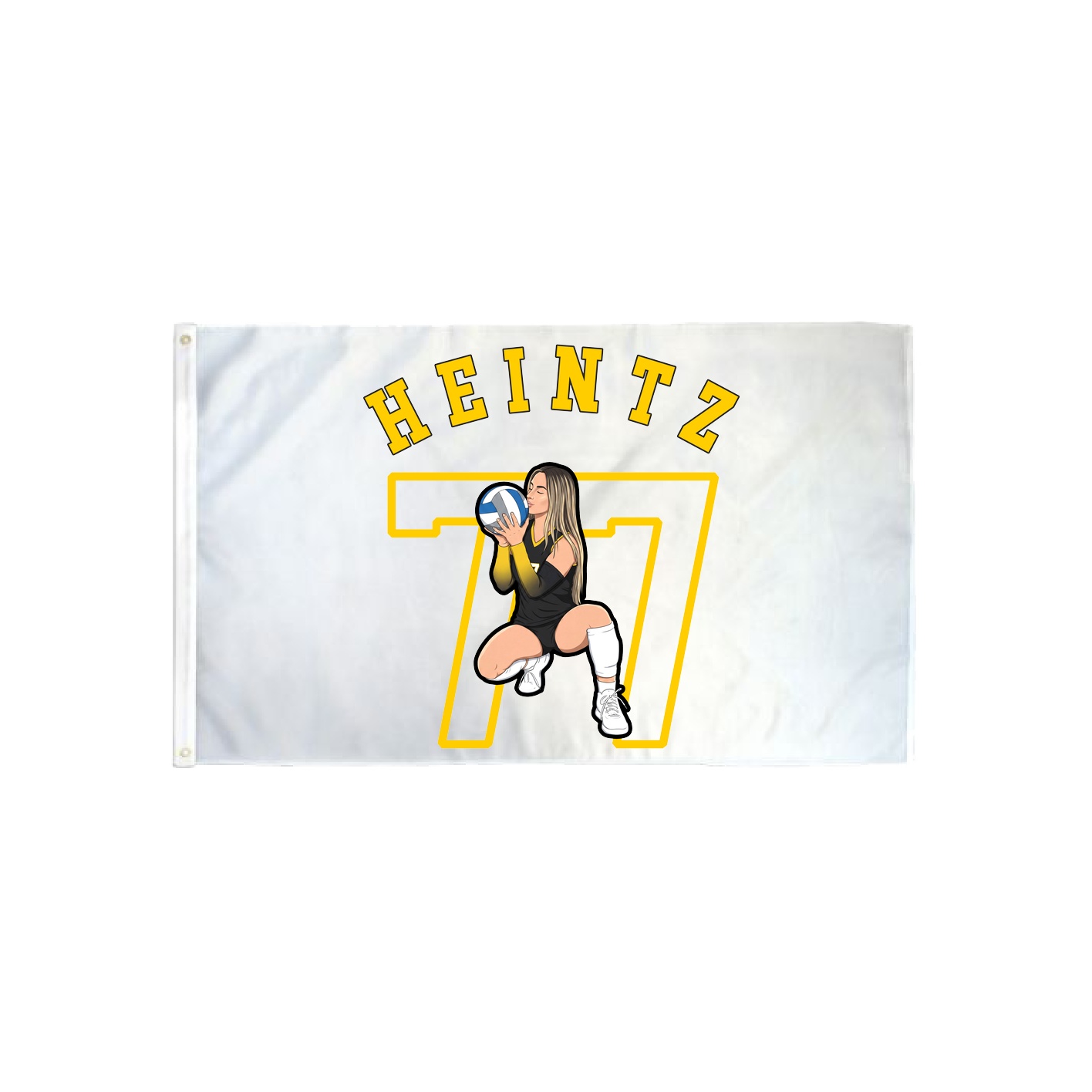 3x5 Flag — Shirsey Arch in Classic