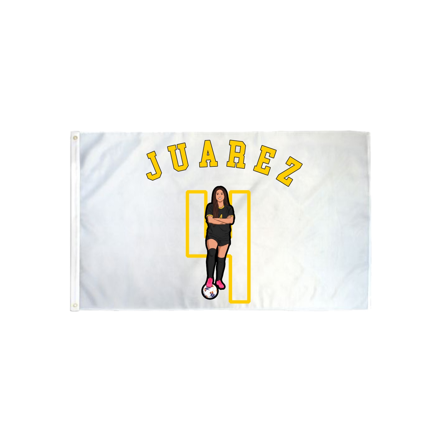 3x5 Flag — Shirsey Arch in Classic