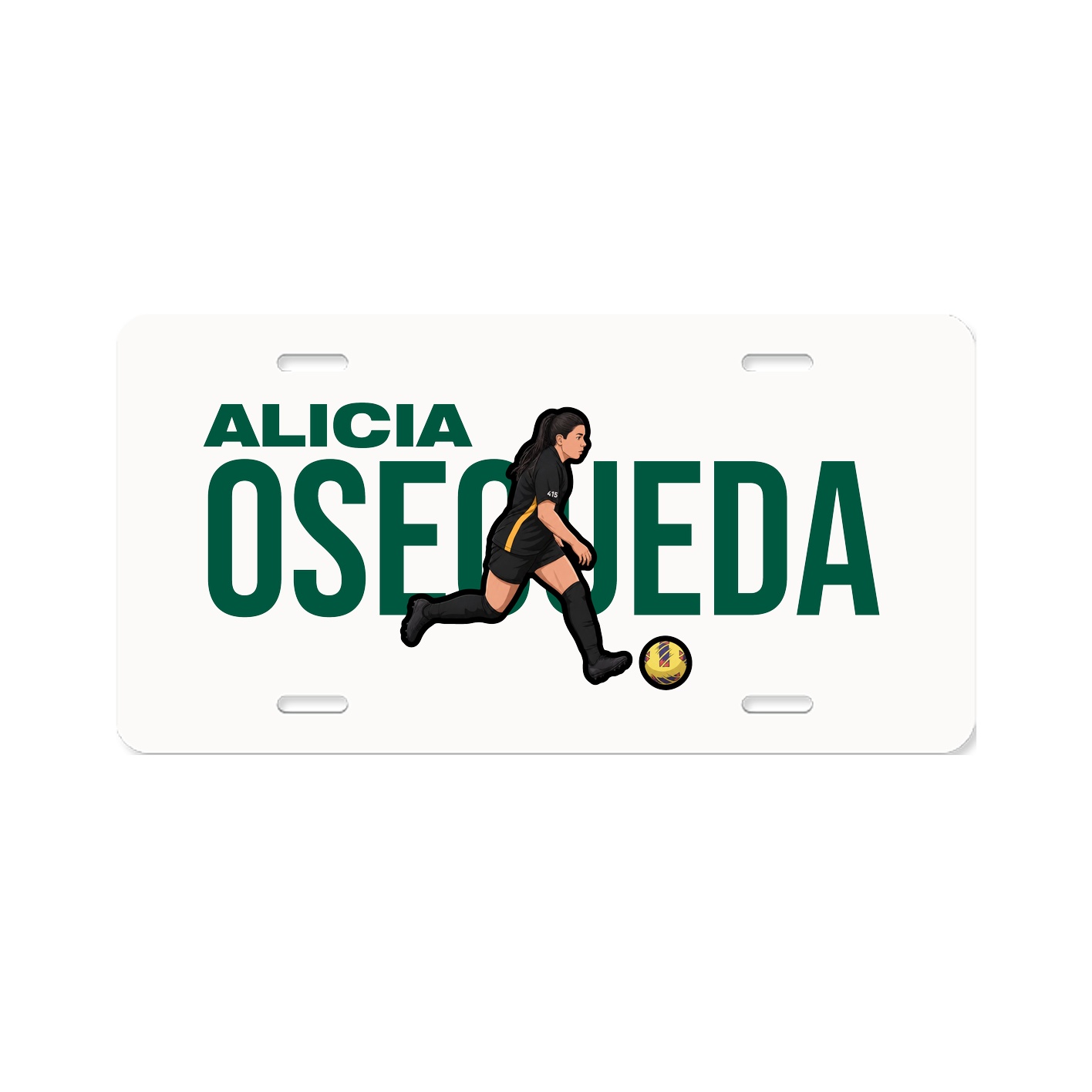 License Plate