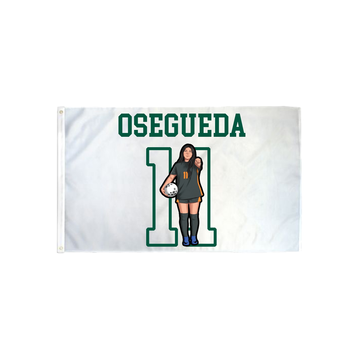 3x5 Flag — Shirsey in Classic