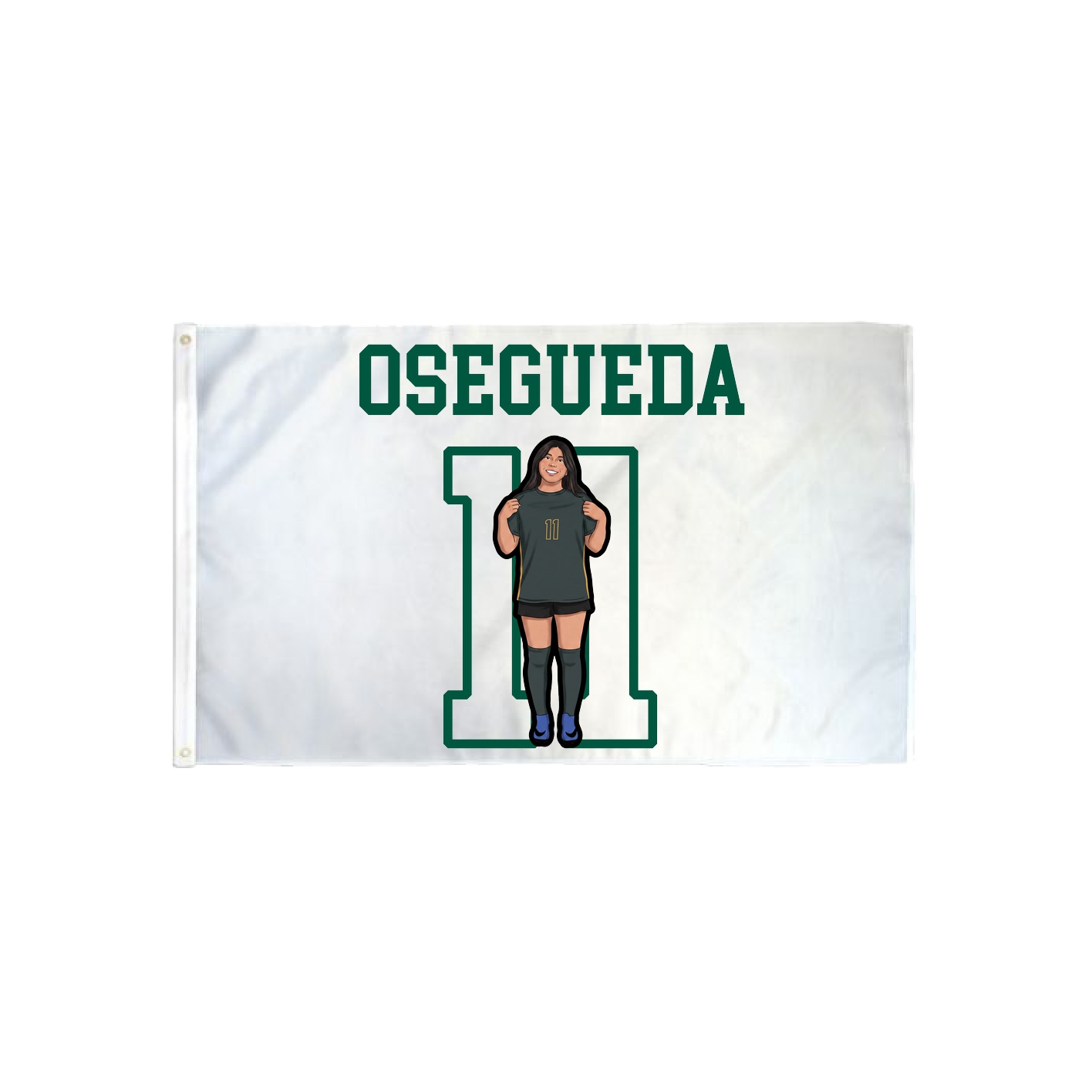 3x5 Flag — Shirsey in Classic