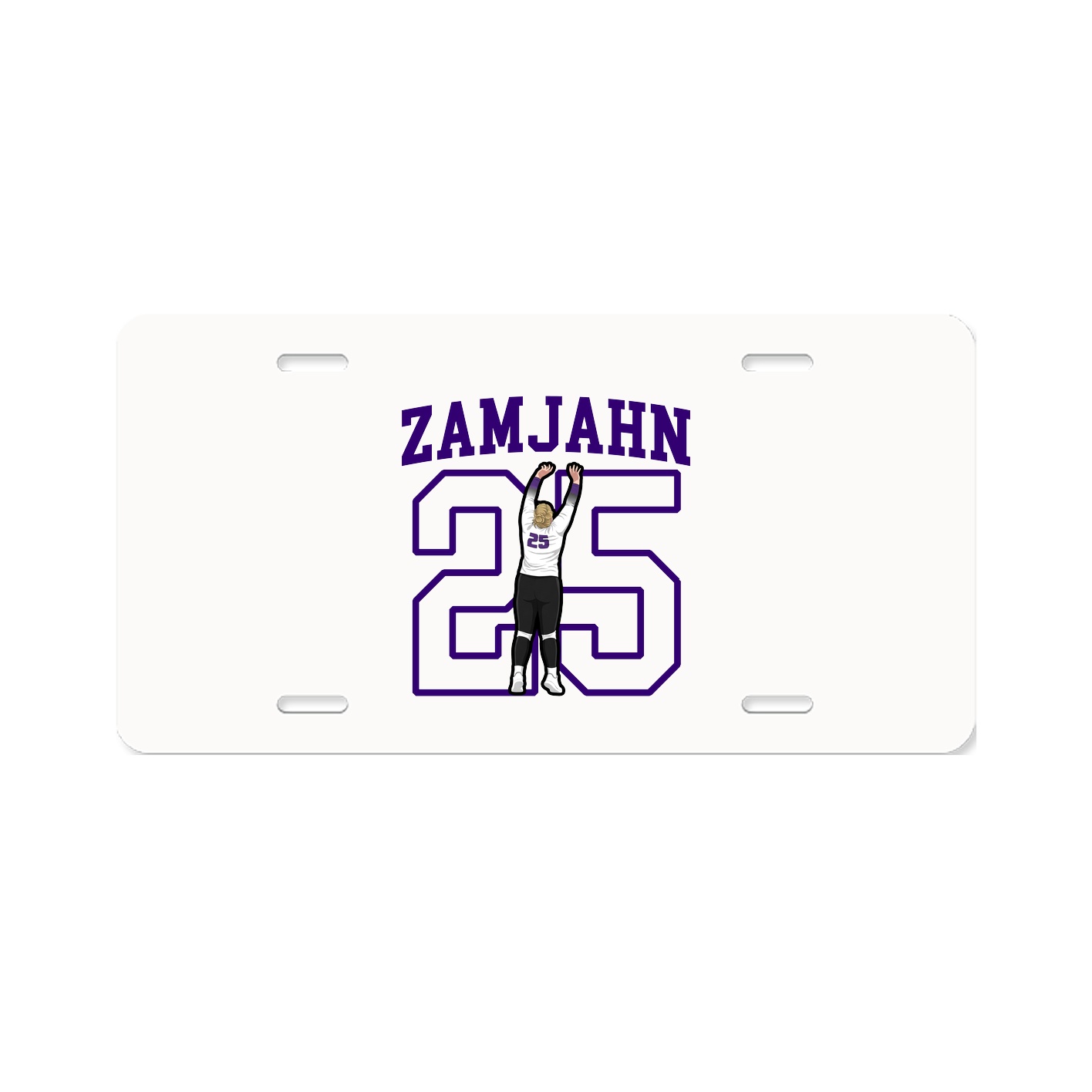 License Plate