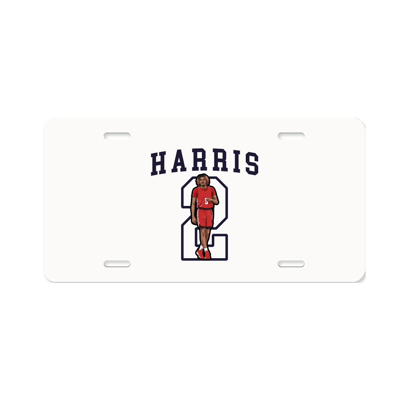 License Plate