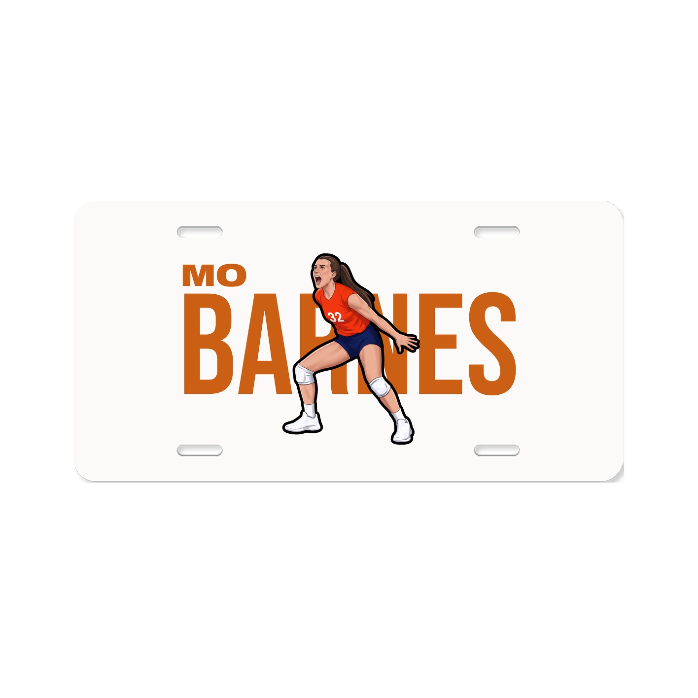 License Plate