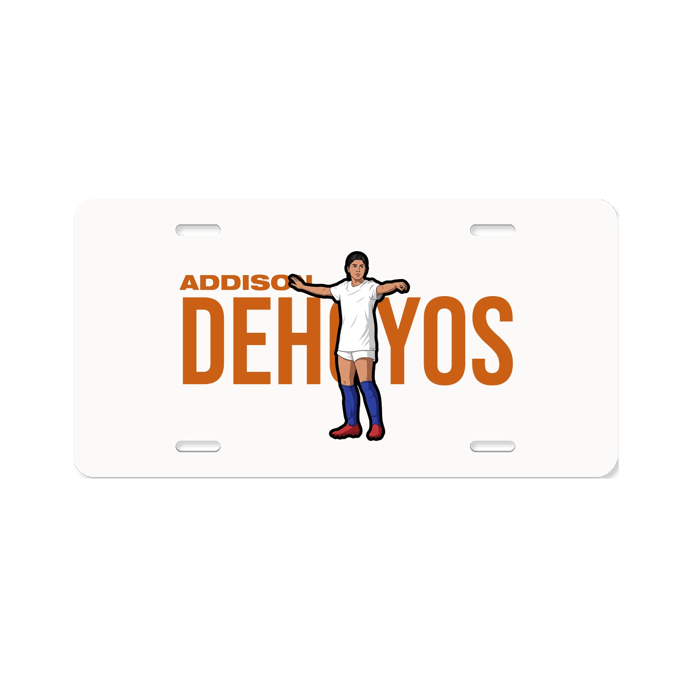 License Plate