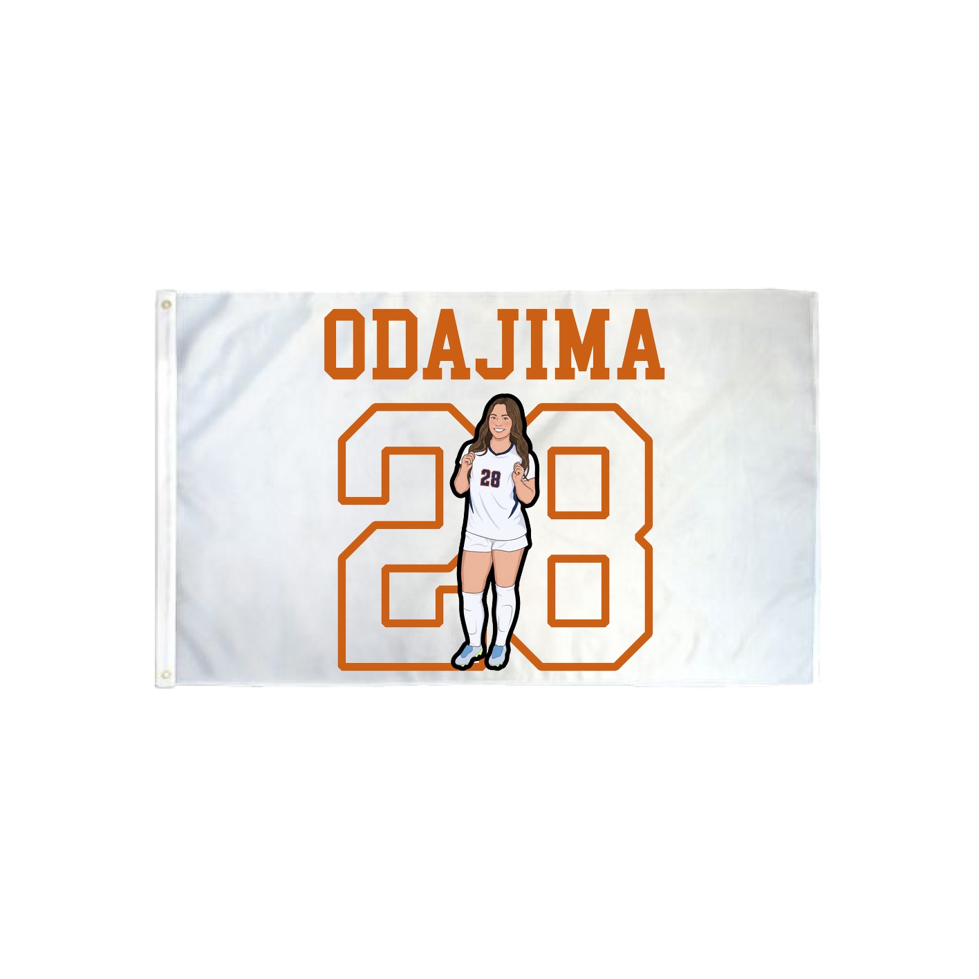 3x5 Flag — Shirsey in Classic