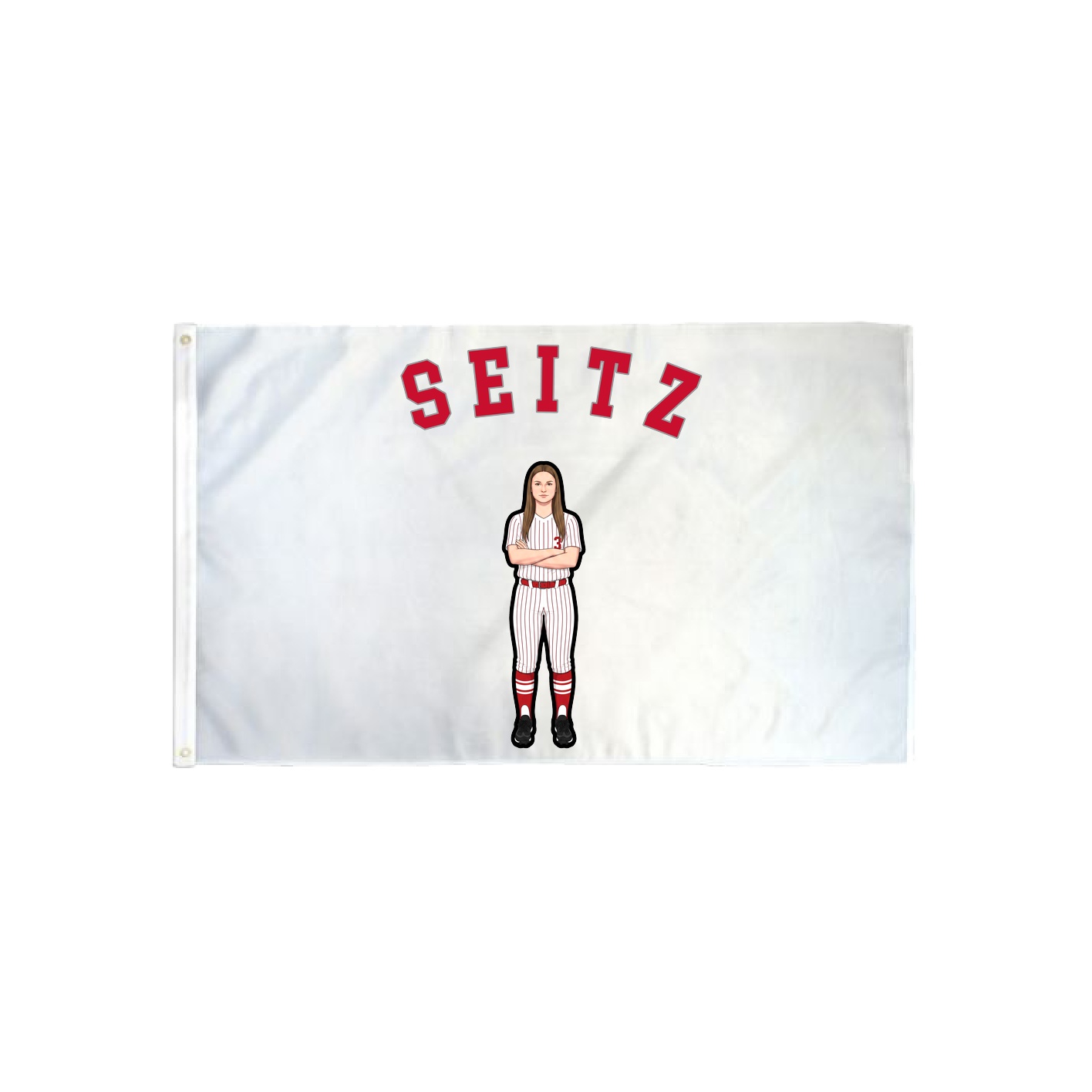 3x5 Flag — Shirsey Arch in Classic