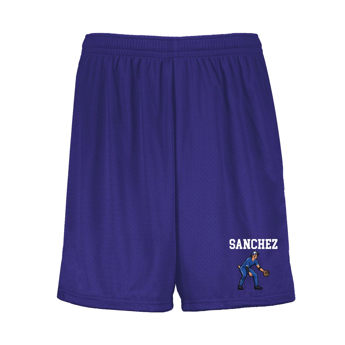 Shorts — Shirsey in Purple