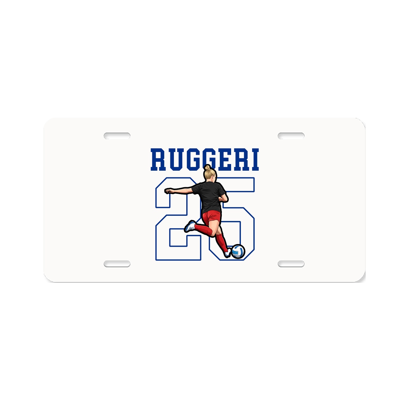 License Plate