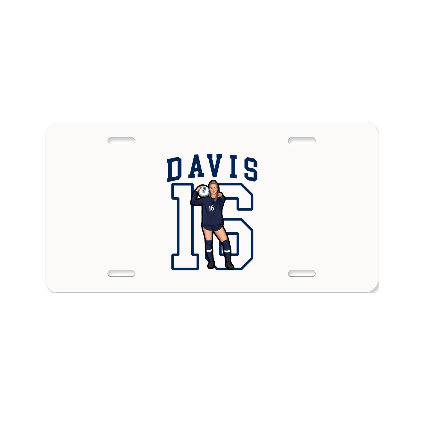 Aluminum License Plate