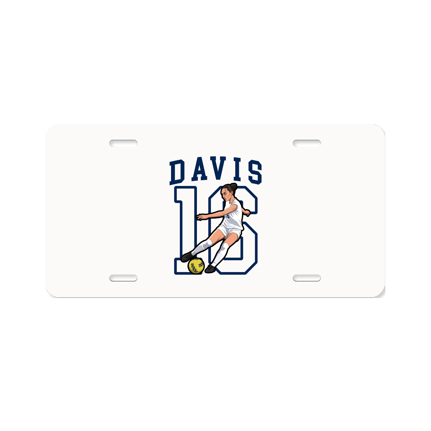 Aluminum License Plate