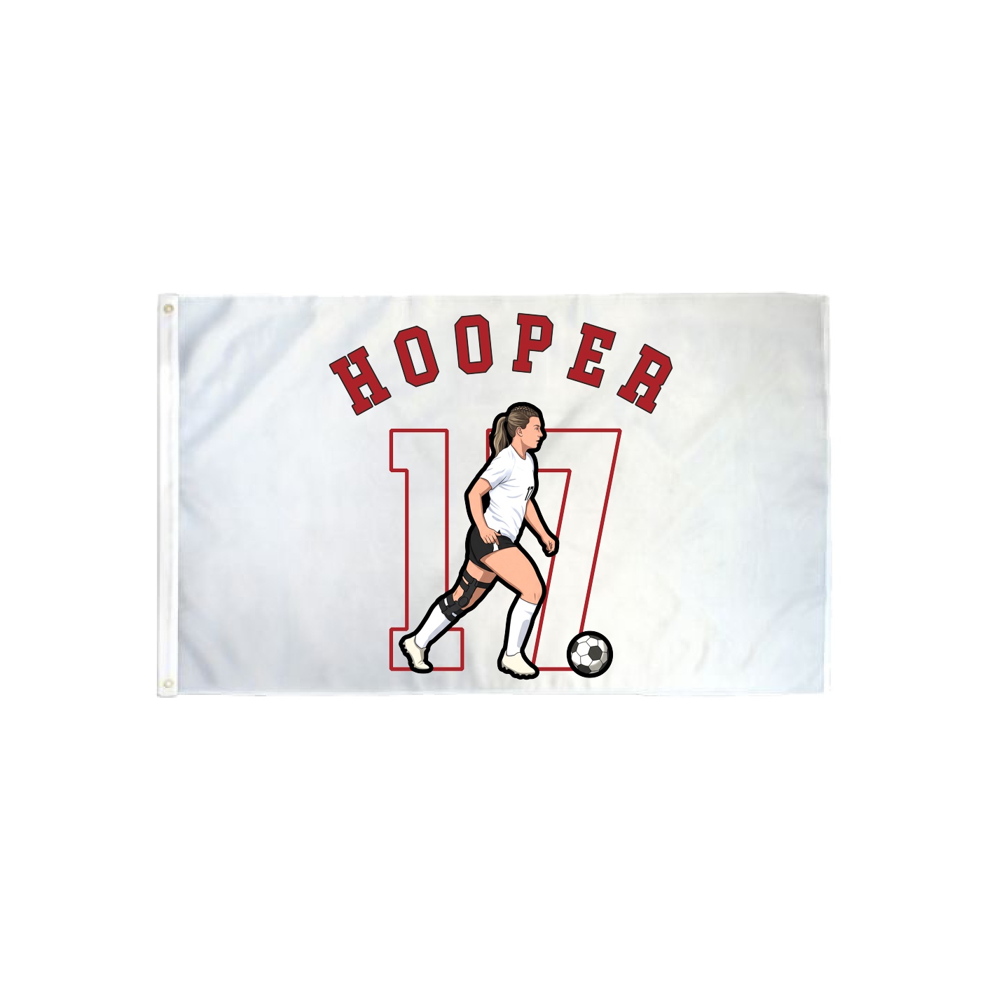 3x5 Flag — Shirsey Arch in Classic