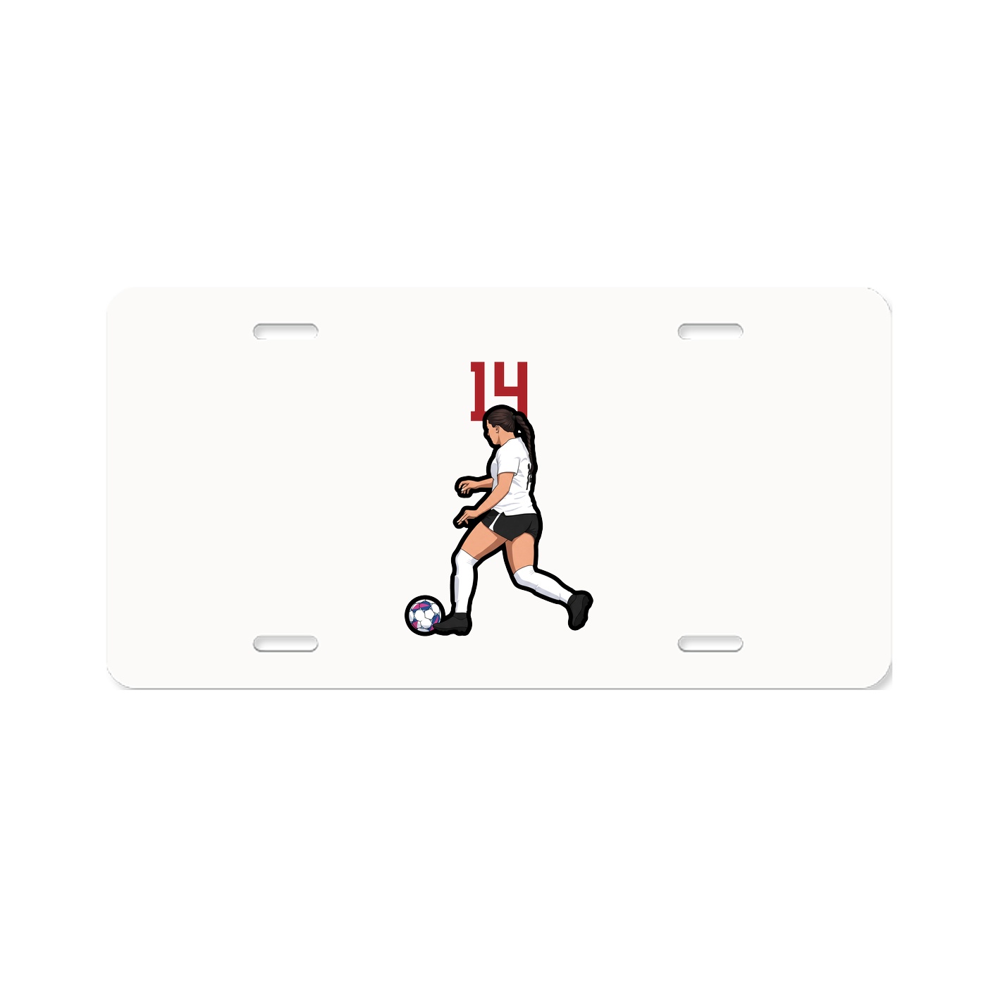 Aluminum License Plate