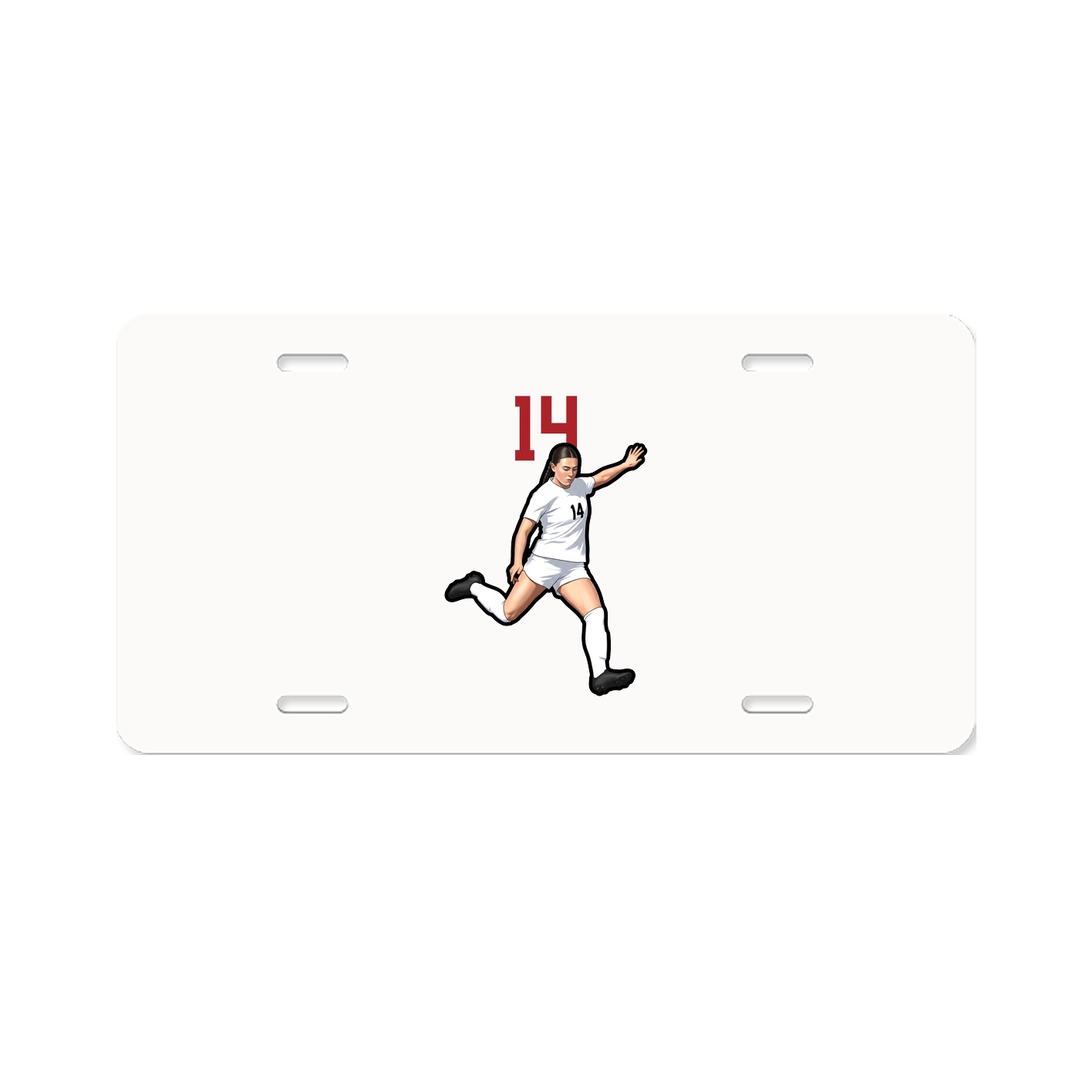 Aluminum License Plate