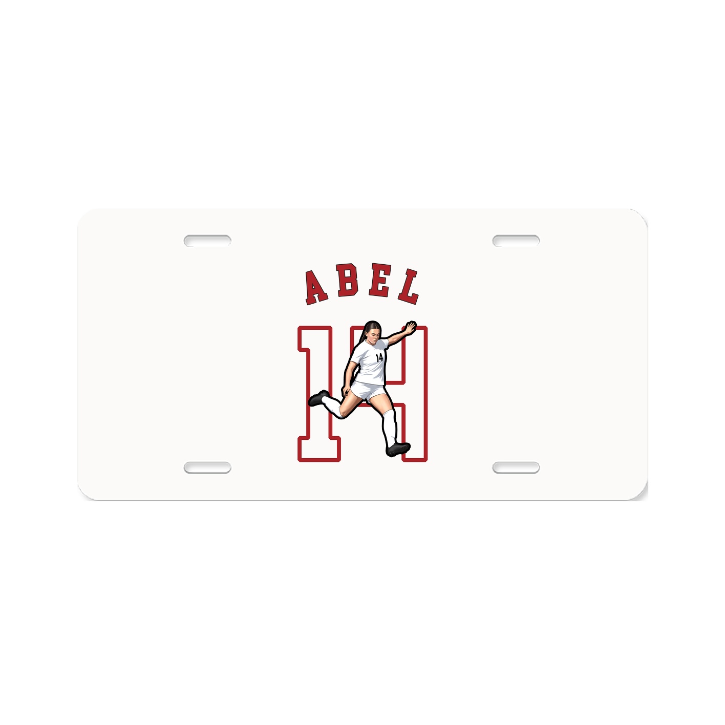 Aluminum License Plate