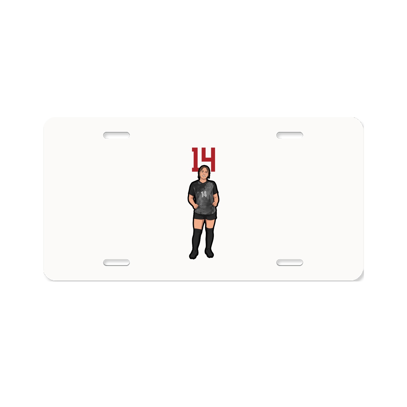 Aluminum License Plate