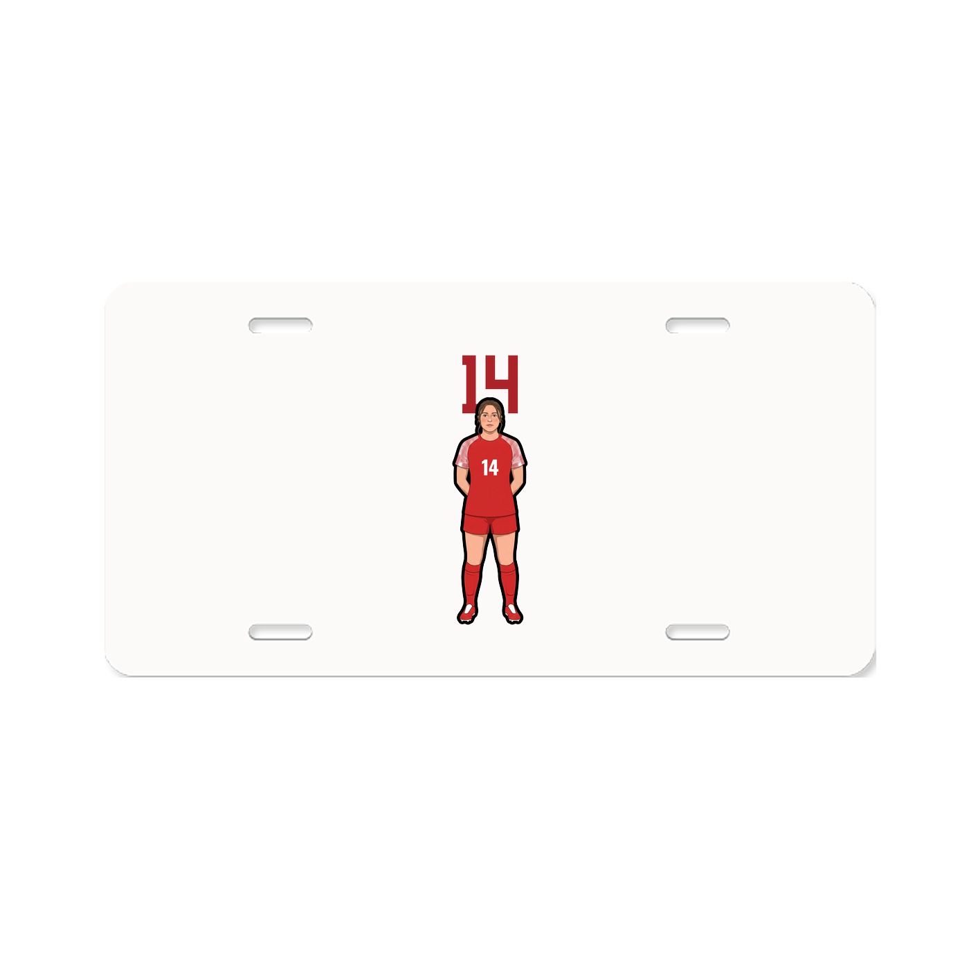 Aluminum License Plate