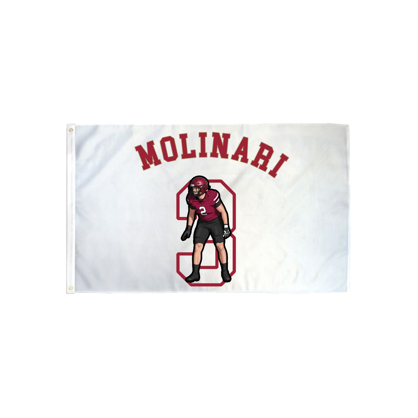 3x5 Flag — Shirsey Arch in Classic
